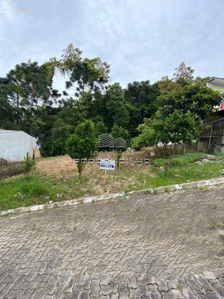 Imagem da propriedade 1623 1